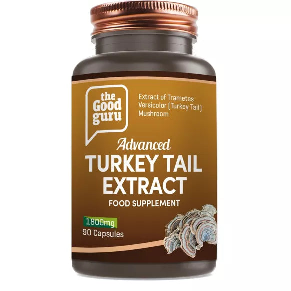 The Good Guru Turkey Tail Mushroom Extract - Infections &  Cognitive Function - Guardian Angel Naturals