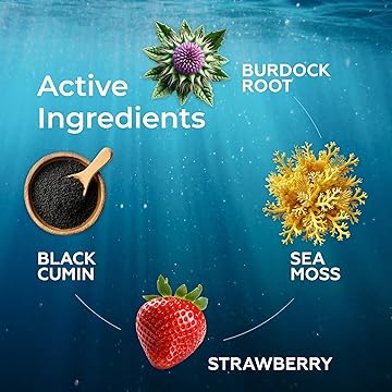 Sea Moss 3000mg Drops Spirulina & Bladderwrack - Strawberry Flavor 60ml - Guardian Angel Naturals