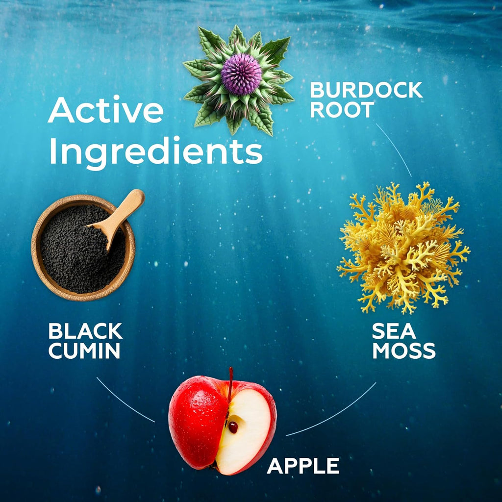 Sea Moss 3000mg Drops Burdock Root & Bladderwrack - Apple Flavor 60ml - Guardian Angel Naturals