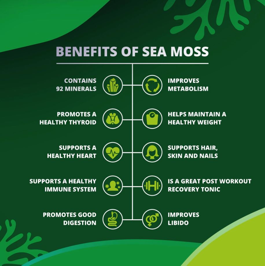 True Sea Moss - Blue Spirulina & Mint Sea Moss Gel 340ml - Guardian Angel Naturals