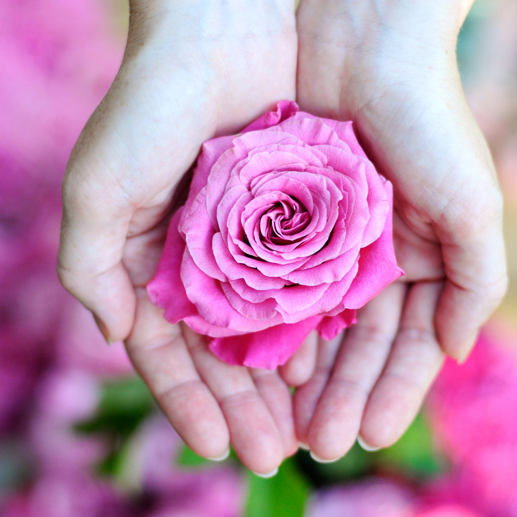 Potion No.9  – Rose 100% Natural Solid Perfume - Guardian Angel Naturals