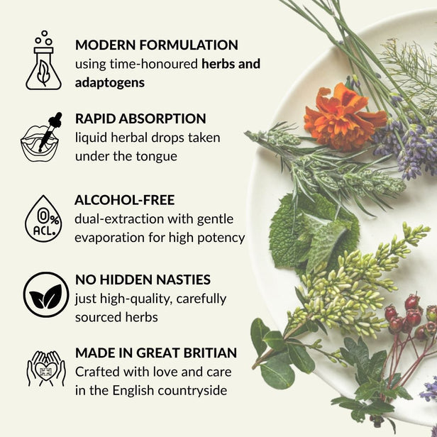 ENERGY Drops - Award Winning Alcohol Free Tincture - Guardian Angel Naturals