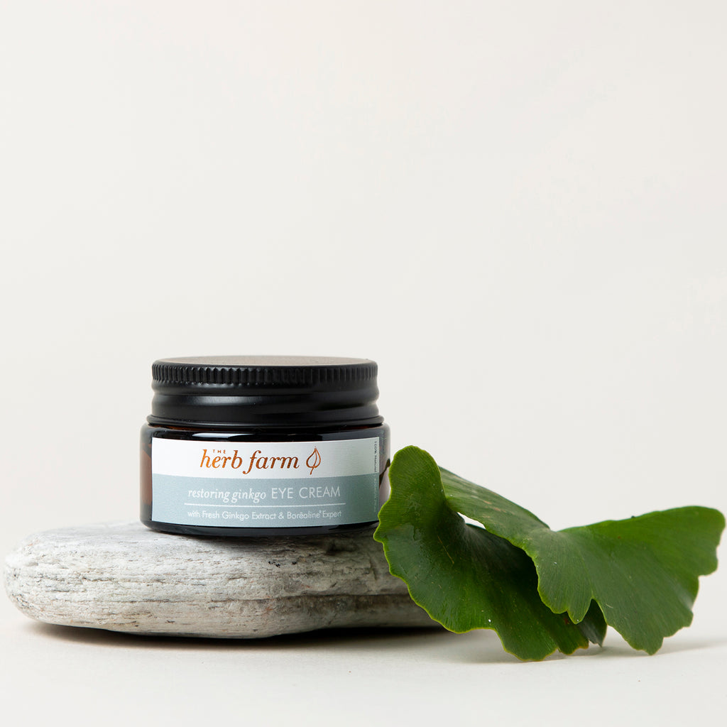 Restoring Ginkgo Eye Cream - The Herb Farm - Guardian Angel Naturals