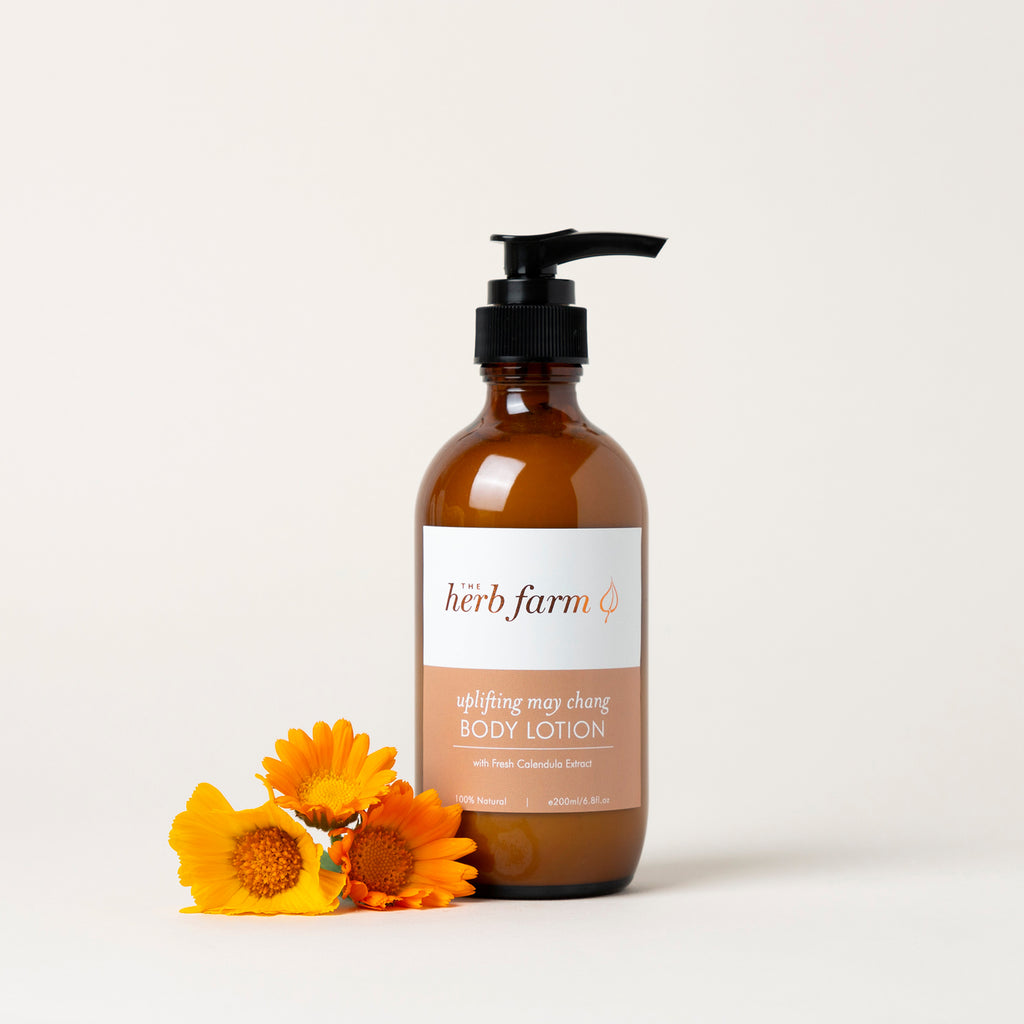 Uplifting May Chang Body Lotion - The Herb Farm - Guardian Angel Naturals