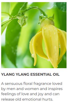 Ylang Ylang & Orange Deodorant Paste 50ml - Guardian Angel Naturals