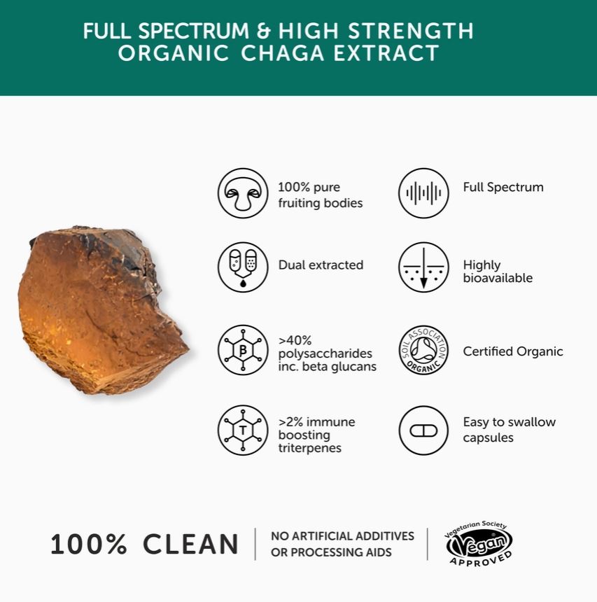 Together Health - Chaga Mushroom - Vegan High Strength 9450mg - Guardian Angel Naturals