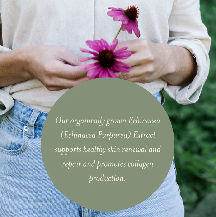 Renew & Refine Face Cream - Guardian Angel Naturals