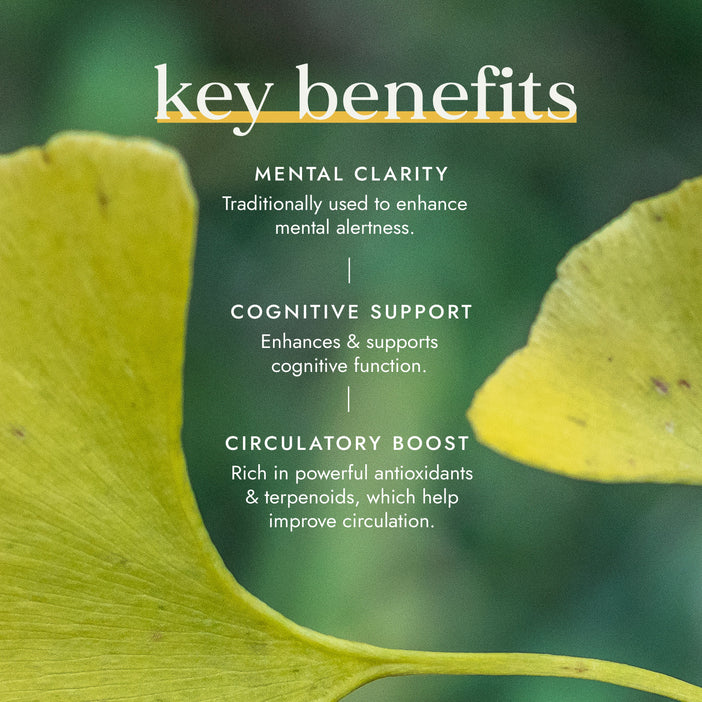 Fushi Organic Ginkgo Biloba - 60 Vegan Capsules - Guardian Angel Naturals