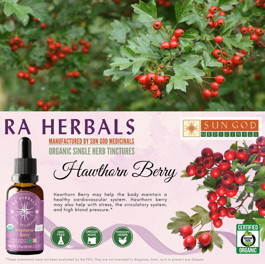 Organic Hawthorn Berry Tincture - Cardiovascular, High Blood Pressure, Cholestoral - Guardian Angel Naturals