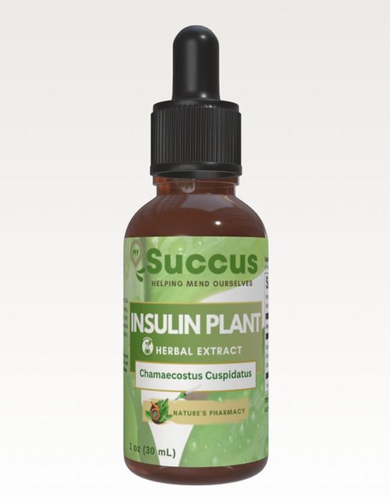 Organic Insulin Plant Tincture - Blood Sugar & Immune System (High Potency) 30ml - Guardian Angel Naturals