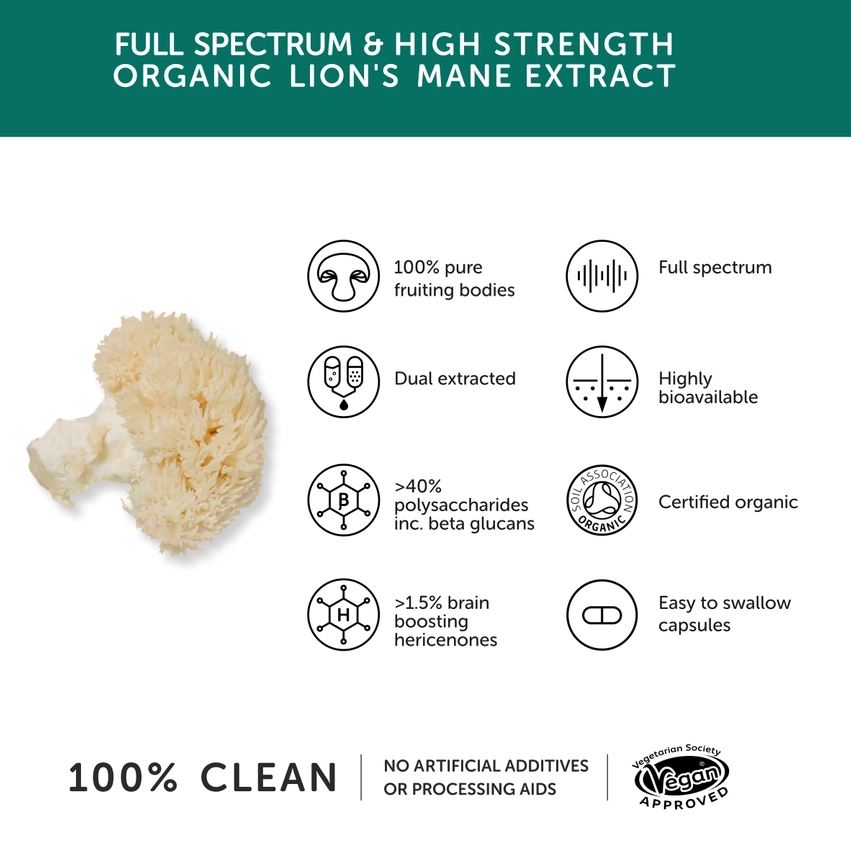 Together Health - Lion's Mane Mushroom 1000mg High Strength & Organic - Guardian Angel Naturals