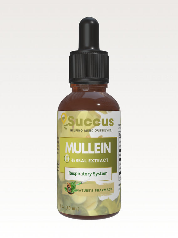 Organic Mullein Leaf Tincture Respiratory/Viral -  with Alcohol 30ml - Guardian Angel Naturals