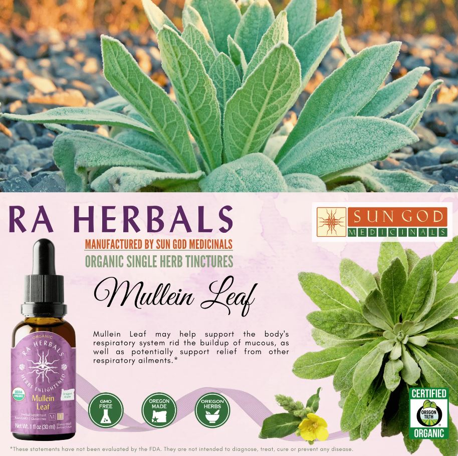 Organic Mullein Leaf Tincture - Respiratory, Viral & Infections - Guardian Angel Naturals