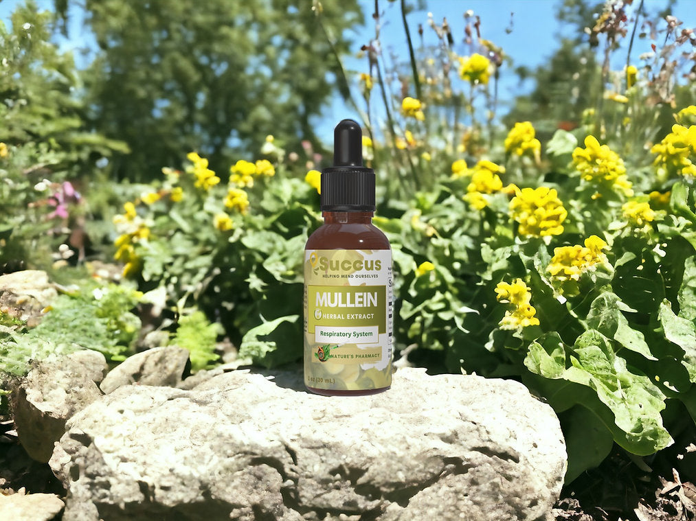 Organic Mullein Leaf Tincture Respiratory/Viral -  with Alcohol 30ml - Guardian Angel Naturals