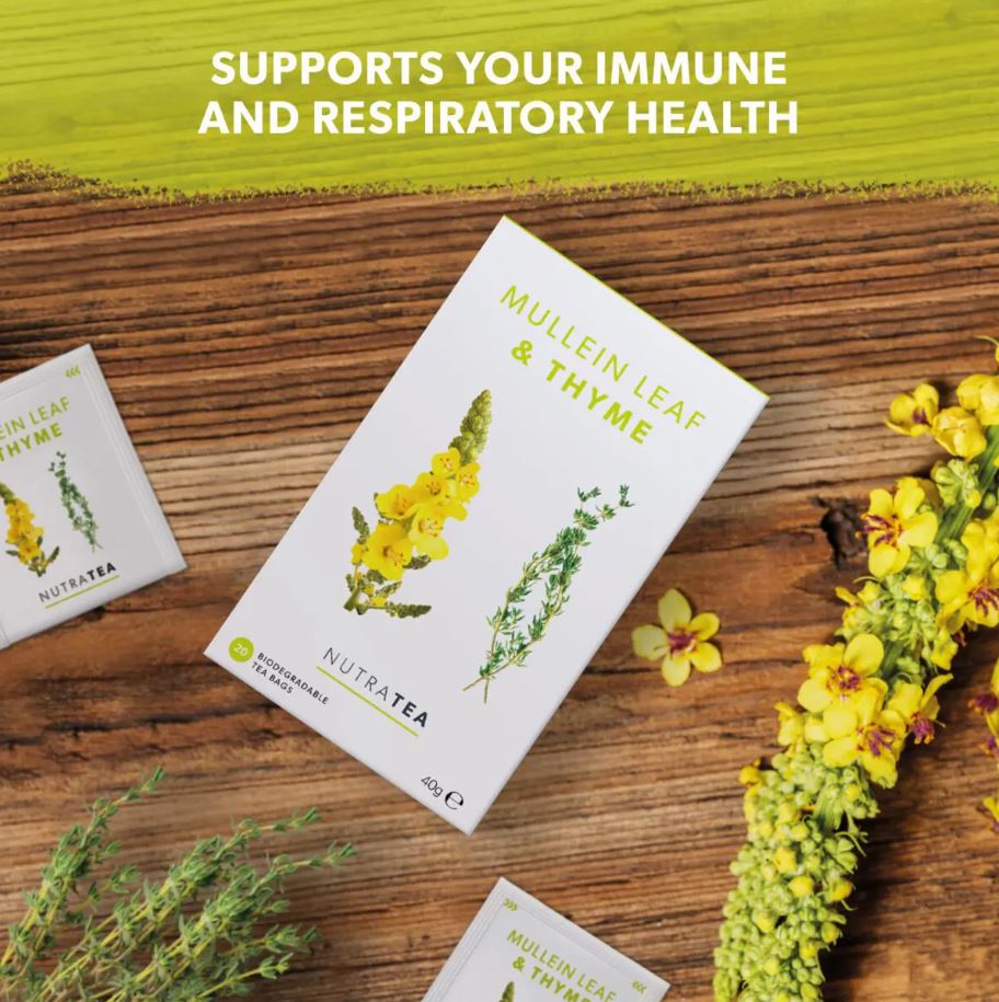 NutraTea Mullein Leaf & Thyme - 20 Bags - Guardian Angel Naturals