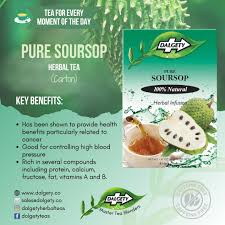 Dalgety Pure Soursop Herbal Infusion - 18 Tea Bags - Guardian Angel Naturals