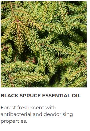 Black Spruce & Lime Deodorant Paste 50ml - Guardian Angel Naturals