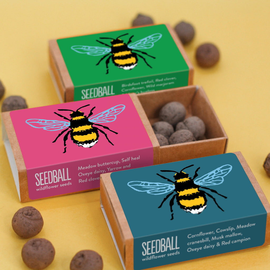 Save the Bees & Butterflies! Seed Boxes - Guardian Angel Naturals
