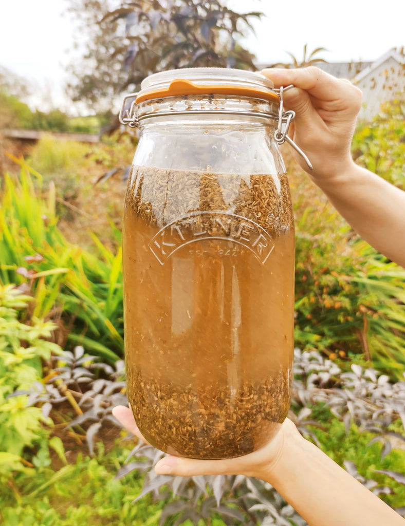 Vinegar of the Four Thieves 100 ML  - Ancient Remedy, Modern Uses - Guardian Angel Naturals