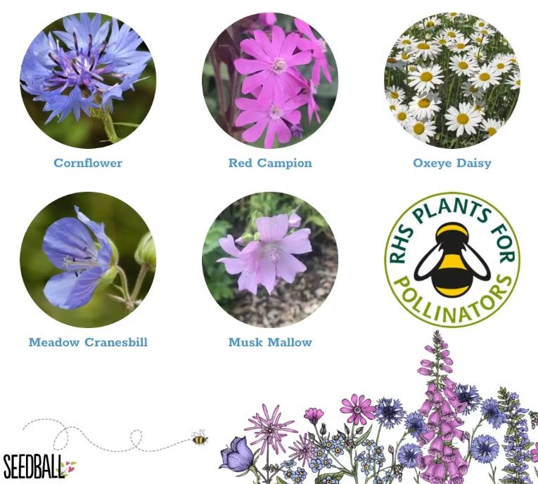 Save the Bees & Butterflies! Seed Boxes - Guardian Angel Naturals