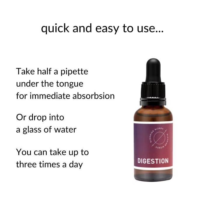 DIGESTION Botanical Tincture Drops 30ml - Alcohol Free - Guardian Angel Naturals